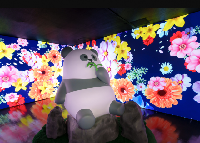 Immersive experience of “Panda Wonders: An Illuminated Journey at Ocean Park (Credit: Ocean Park Hong Kong)